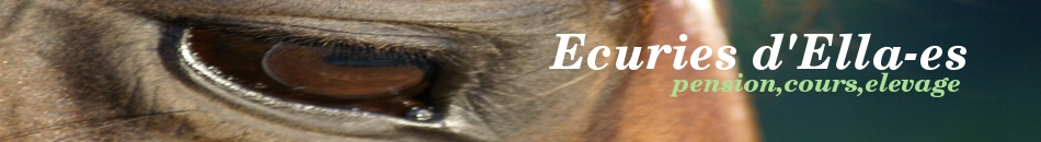 Ecuries d'Ella-es